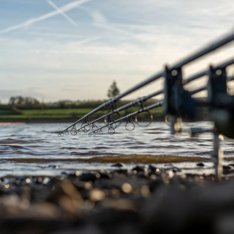 Daiwa Black Widow + Carp Rods